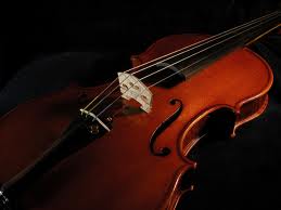 violino