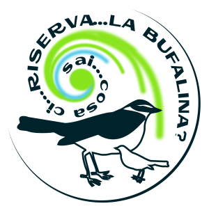 LOGO_ci_riservaBUF