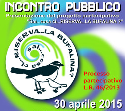 BUFALINA_POSTpresentazione30.04.2015