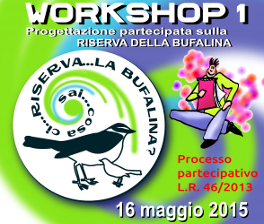 BUFALINA_POSTworkshop16.05.2015