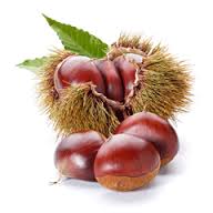 castagne