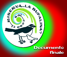 post_bufalina_doc.finale