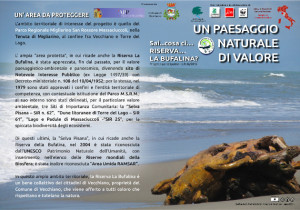 bufalina_pannello1