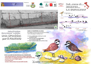 bufalina_pannello9