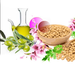 post_convegno_agricoltura