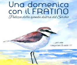 post_puliziasponda2016