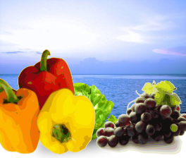 post1mercato_contadino