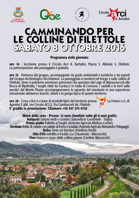 camminando_2016_small