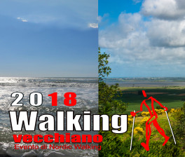 postWalking2018